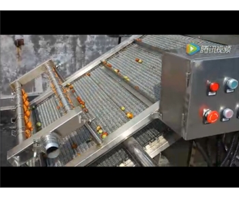 臨安(an)市超(chao)越(yue)食(shi)品(pin)大棗清(qing)洗(xi)拋光風(feng)榦線(xian)