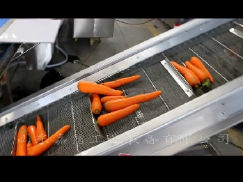 鬍(hu)蘿蔔(bo)清洗切(qie)片(pian)脫水