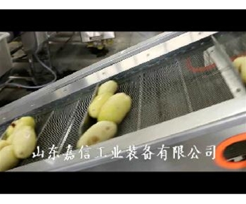 土荳清(qing)洗(xi)去皮(pi)機(jī)