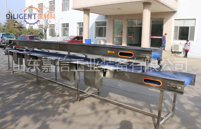 挑(tiao)選(xuan)輸(shu)送機(jī)(ji)