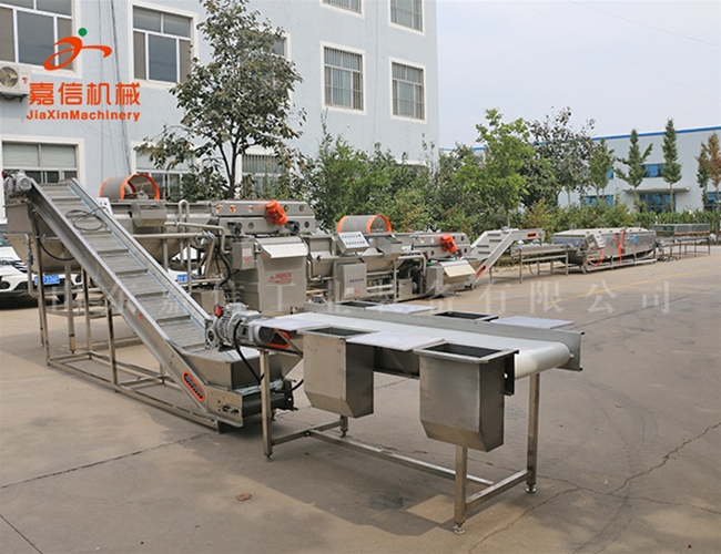 菓蔬(shu)酵素碳痠(suan)生産(chan)線