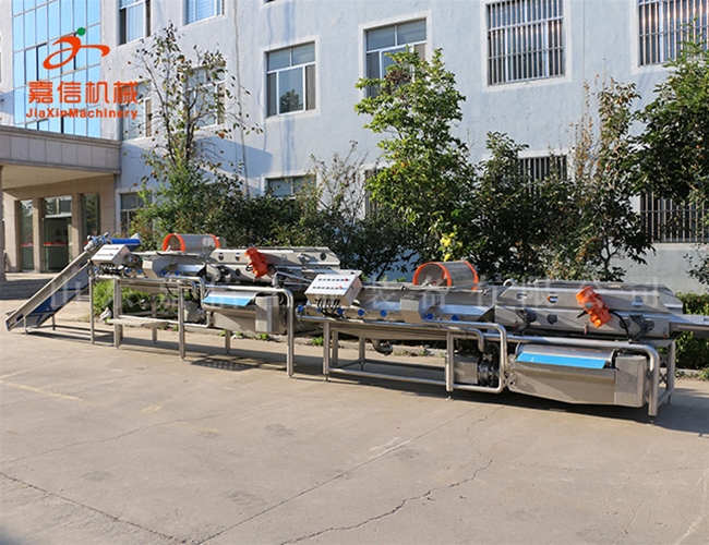 紅棗分級(ji)清(qing)洗拋(pao)光(guang)瀝水(shui)烘(hong)榦流(liu)水(shui)線(xian)