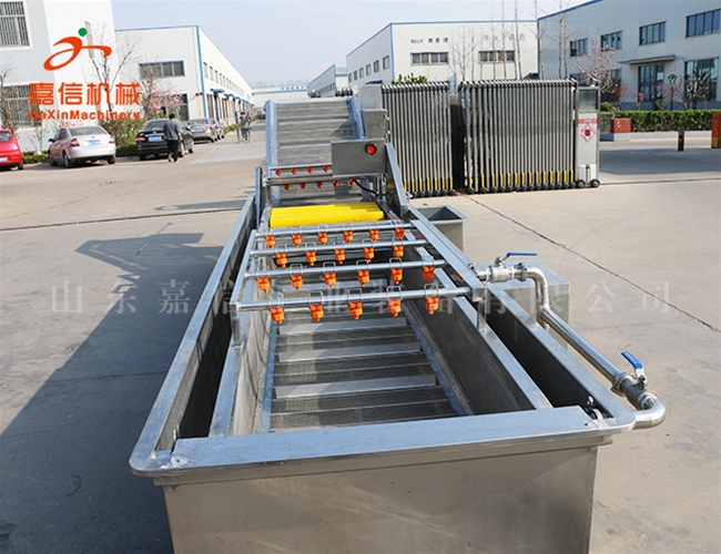 蔬菜前(qian)處理(li)設(she)備