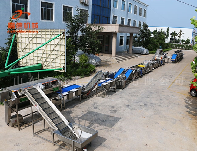 清(qing)洗(xi)\消毒(du)\風(fēng)(feng)榦(gan)流(liu)水(shui)線(xian)(淨(jìng)(jing)菜(cai)\鬍(hu)蘿蔔(bo)\土(tu)荳\棗類(lei))