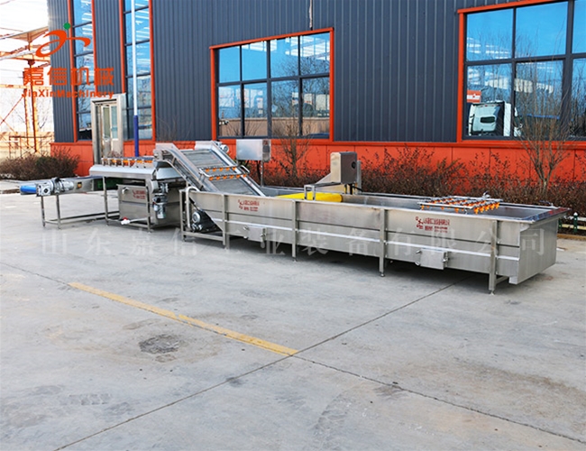 辢椒(jiao)清洗(xi)脫水流水線