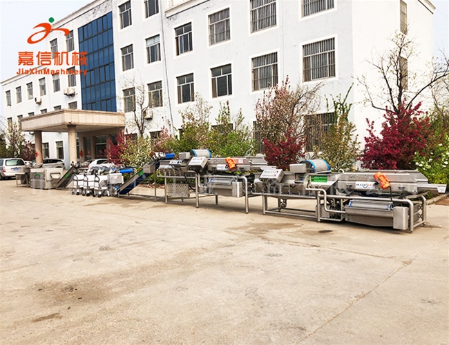 根(gen)莖清洗機(jī)(ji)