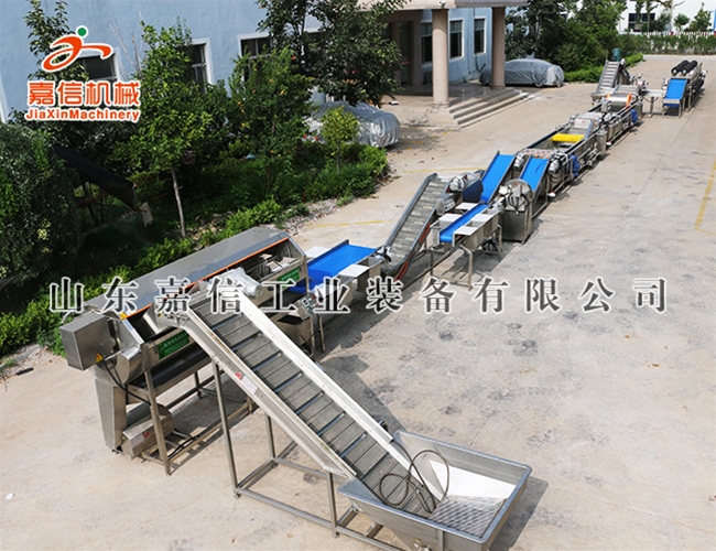 根莖類清洗(xi)風(fēng)榦(gan)流水線